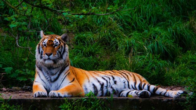 宁波野生动物园