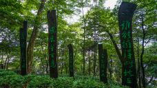 南华山神凤文化景区-凤凰-doris圈圈