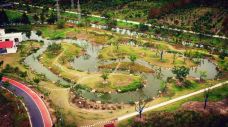 长兴岛郊野公园-上海-doris圈圈