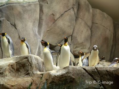 Top 236 Attractions Recommended In Bremen Parks Travel Guide