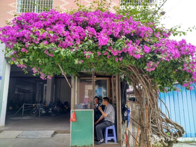 Jiaomei Duoleng Hot Spring