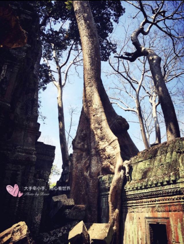 Ta Prohm