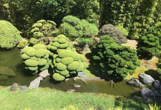 Japanese Tea Garden