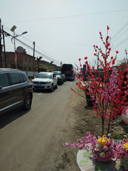 宽甸河口长青鱼馆农家乐餐厅图片