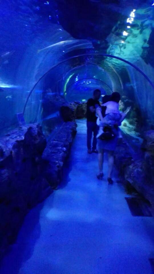 Qujiang Polar Ocean Park
