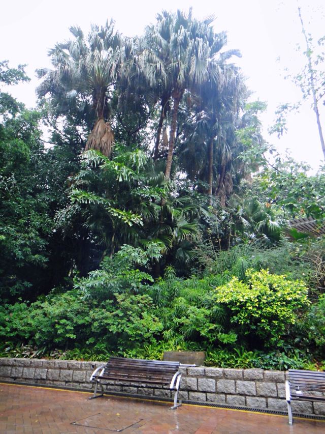 Kowloon Park