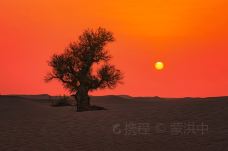 塔克拉玛干沙漠-尉犁-doris圈圈