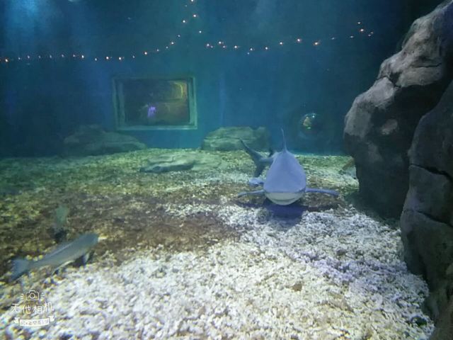 Nanchong Polar Ocean World