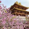 柳州文庙是否可以烧香？