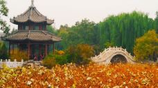 古莲花池-保定-嘉二