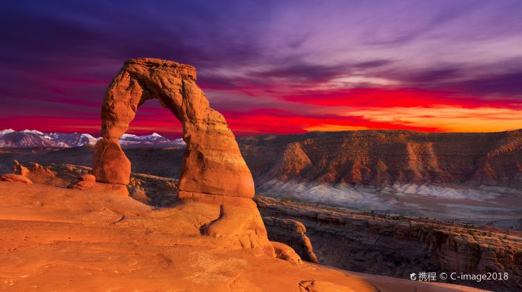4-Day Small Group National Parks Tour from Las Vegas·Zion, Bryce, Antelope Canyon & Grand Canyon