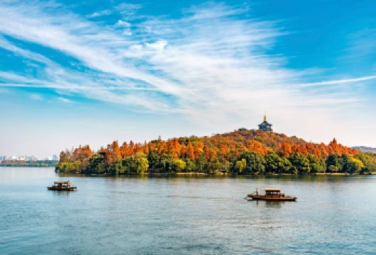 杭州出发：西湖+雷峰塔+飞来峰+灵隐寺+西溪湿地一日【私家团【私家小团丨小众玩法丨纯玩无购丨独立包车丨行程可调丨随停随走丨时间自由丨上门接送】