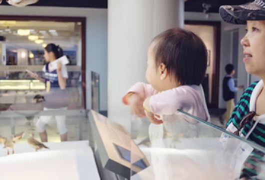 上海自然博物馆一日游【高品质2小时人工讲解/配耳麦】【[精选讲师]精心挑选讲解员，经验丰富，专业生动，经验足】