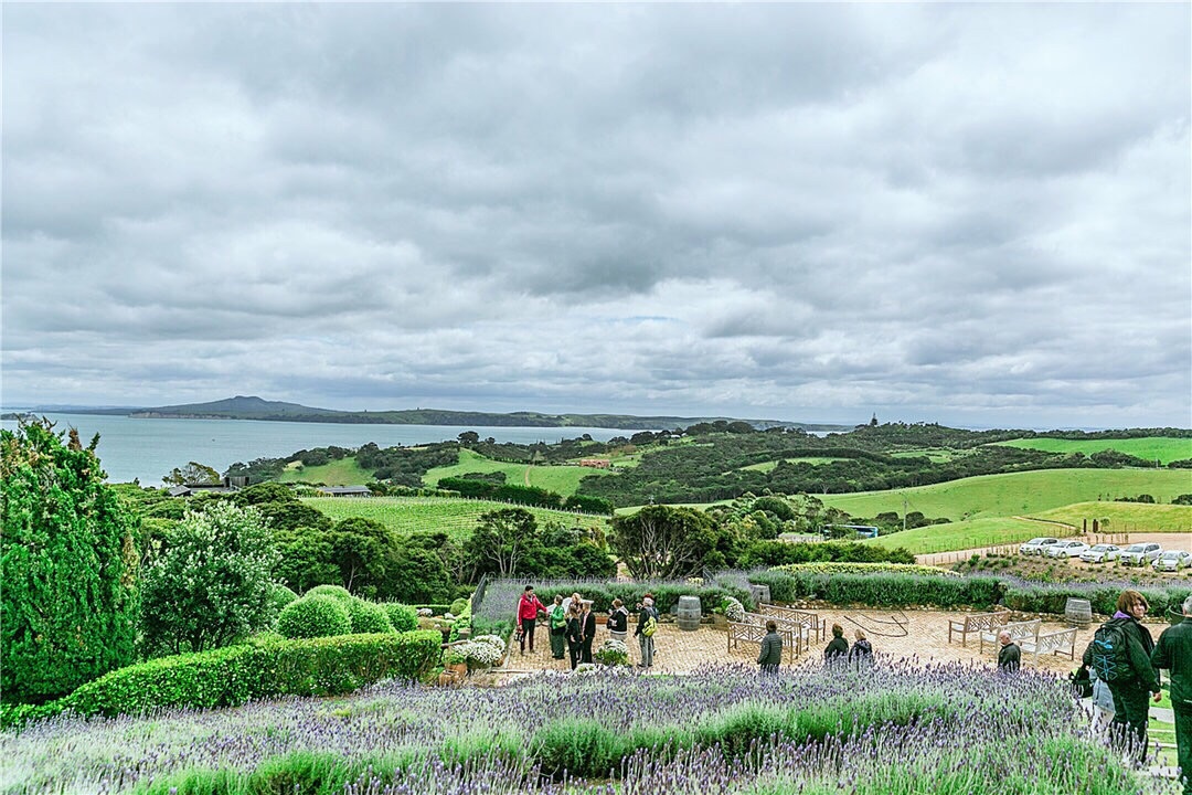 Auckland Tourist Attractions Images 9 Unforgettableexperiences