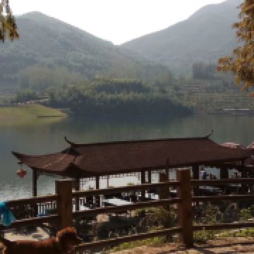 开云体育- 开云体育官方网站- 开云体育APP 最新2025农家乐采摘旅游宣传海报设计