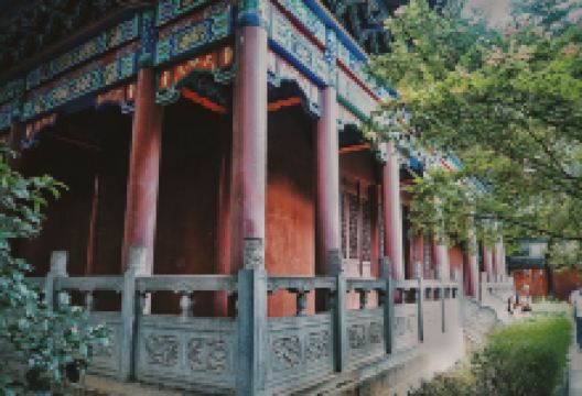 义帝陵景点图片