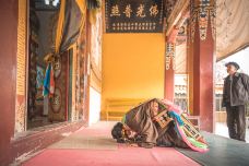 天堂寺-天祝-婷仔_dinhoidinh