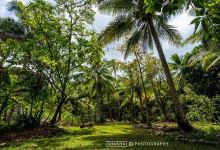 Ile aux Canards island景点图片