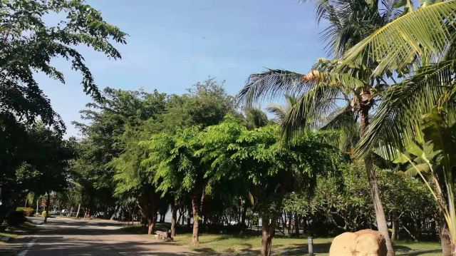 Daxiaodongtian Area