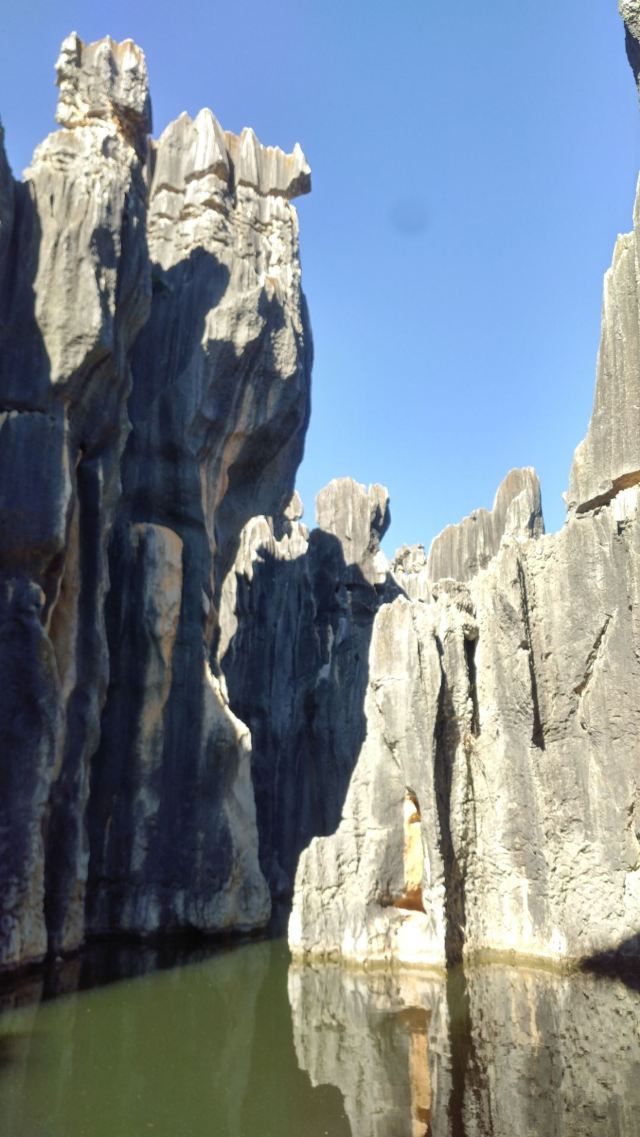 Stone Forest