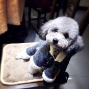 寂寞在耳边低吟