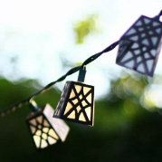 绿脸盆狐狸想要睡好觉