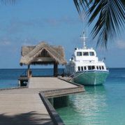 我要陪雨木木做好多事