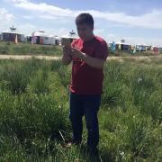 啊叮叮叮叮叮叮叮