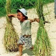 不要以为是小熊