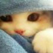 苏益河思维记忆