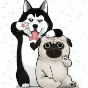 阳光线上的音符