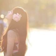 下雪天的太阳花