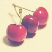 巨熊的白狮盾牌