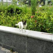 小小蛋黄很少烦恼