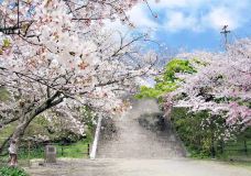 大濠公园-福冈-在路上的Jorick