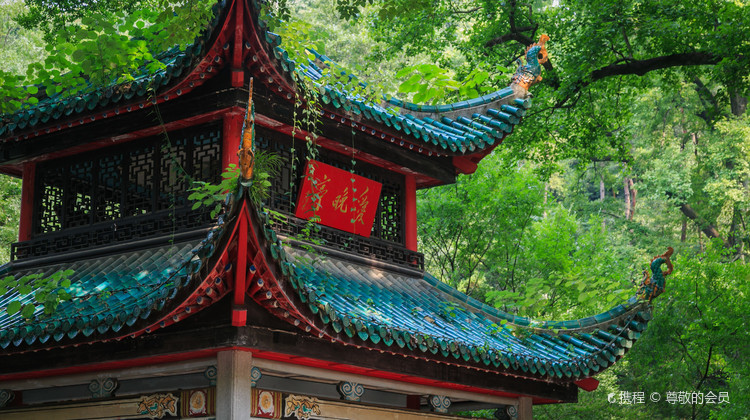 衡阳旅行社排名前三强揭晓，这家口碑服务双优！