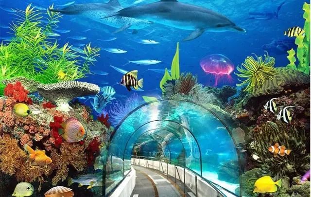 63海洋世界