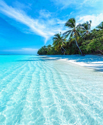 斐济+苏梅岛，上天下海360度玩转海岛！