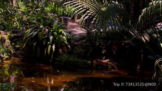 Parque Lage
