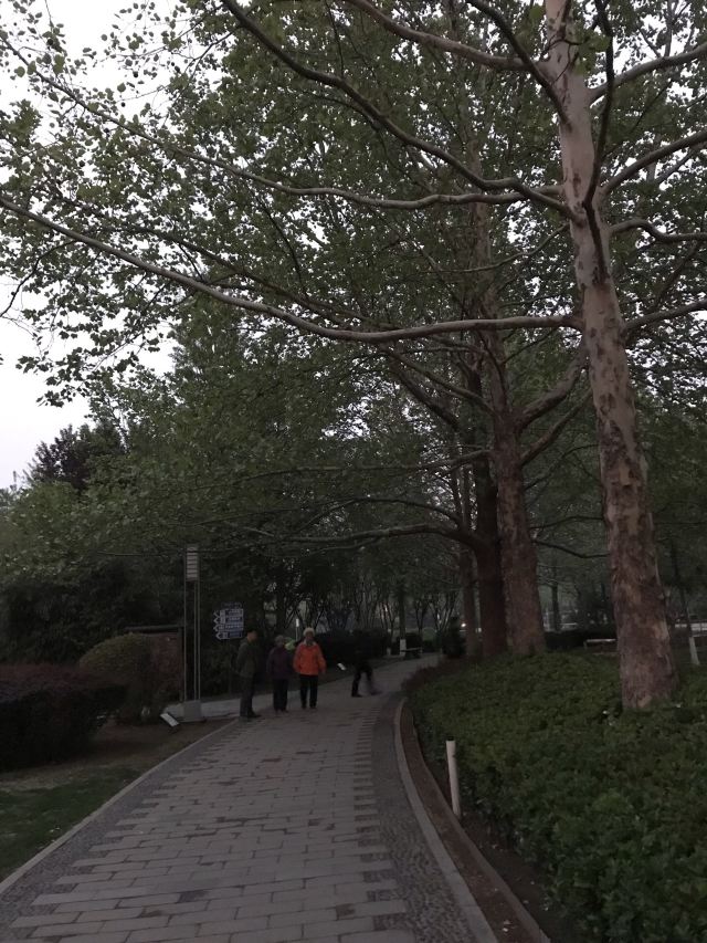 阳光星期八公园旅行图片 3