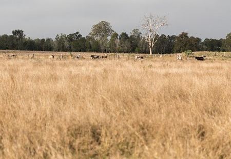 Oxley Creek Common