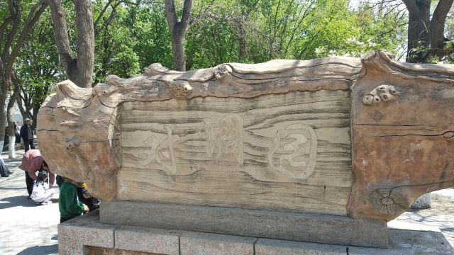 长青公园旅行图片 5