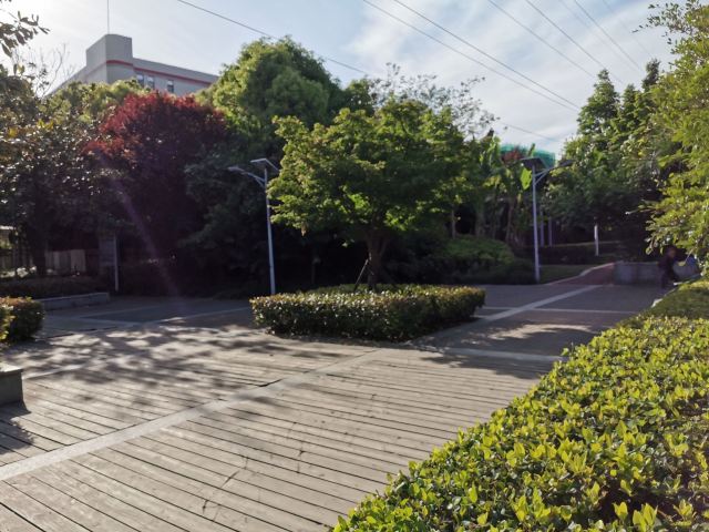 漕河泾开发区科创公园旅行图片 5