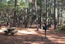 Hickory Nut Mountain Campground景点图片