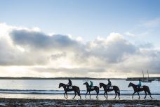 瓦南布尔-瓦南布尔-C-IMAGE