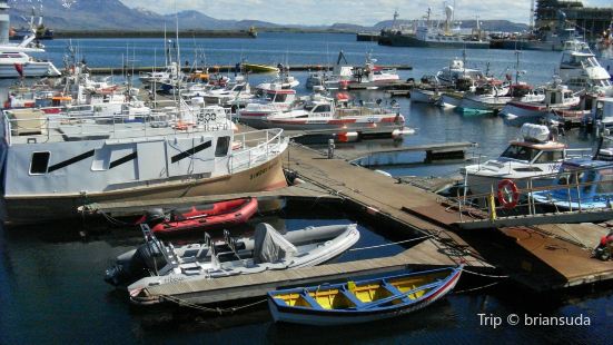 Reykjavik Harbour