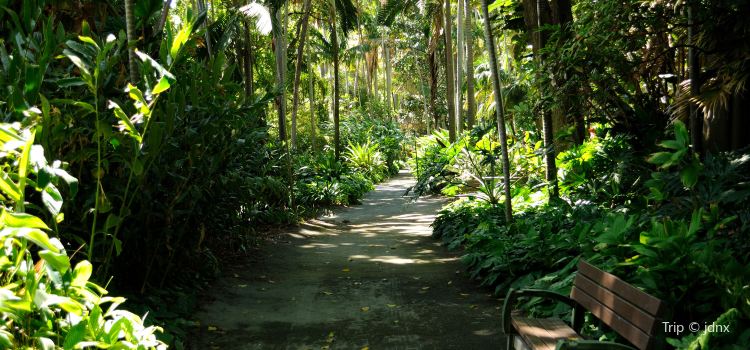 Foster Botanical Garden Travel Guidebook Must Visit Attractions