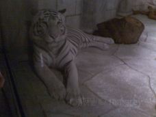 Texas State Aquarium-科珀斯克里斯蒂