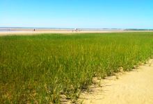First Encounter Beach景点图片