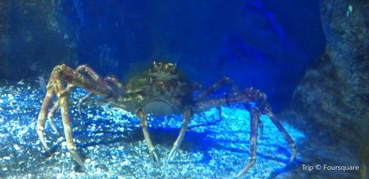 Haus Des Meeres Aqua Terra Zoo Travel Guidebook Must Visit